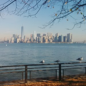 New York Skyline, David Kitz