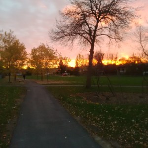 Sunrise 11-03-2014 David Kitz