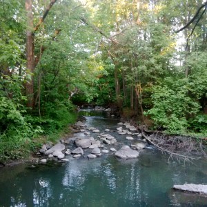 Bilberry Creek -- David Kitz