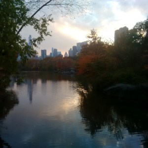 Central Park, NYC -- David Kitz