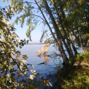 River Bank -- David Kitz