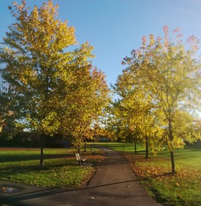 The Path Forward -- David Kitz