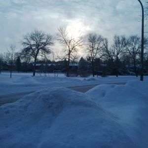 Winter Sunrise --David Kitz