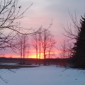 Resurrection Sunrise, Durham, ON --David Kitz