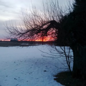 Easter Sunrise --David Kitz