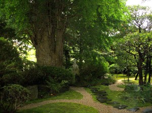 A Tree flourishing in the house of God -- David Kitz
