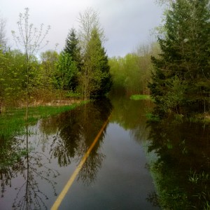 When the enemy comes in like a flood -- David Kitz