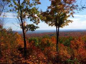 Gatineau Park, Quebec --David Kitz