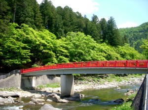 Be a bridge builder with words. --David Kitz