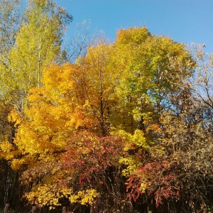 To everything there is a season.