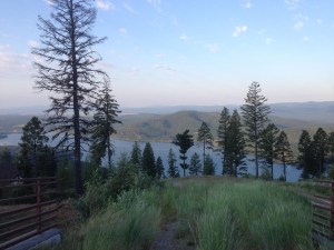 Photo by Donald Adam