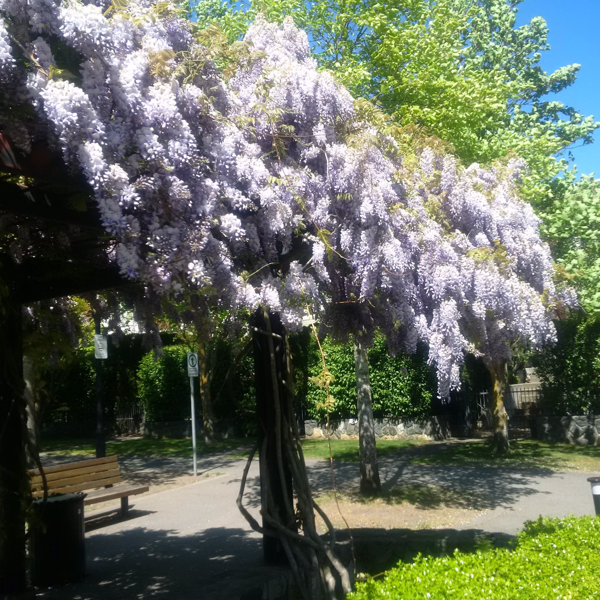 IMG_20160429_133432 (2)