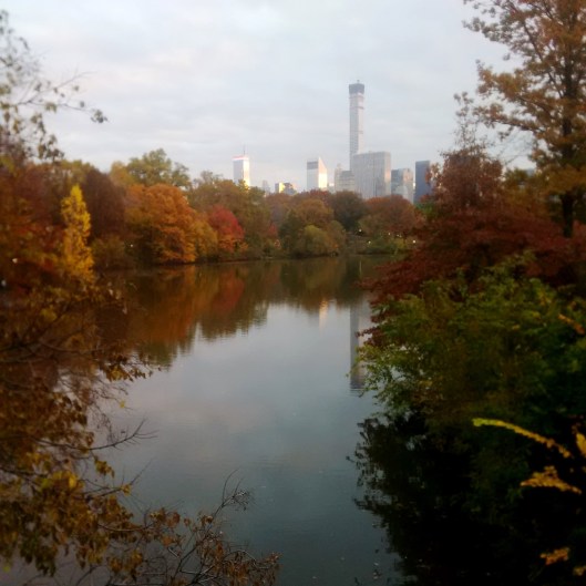 Central Park 2014-11-11