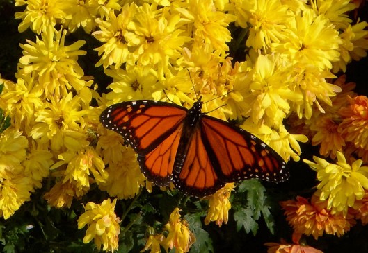 Always spend some time with your honey!