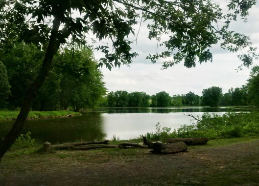 Petrie Island 20160604 (2)