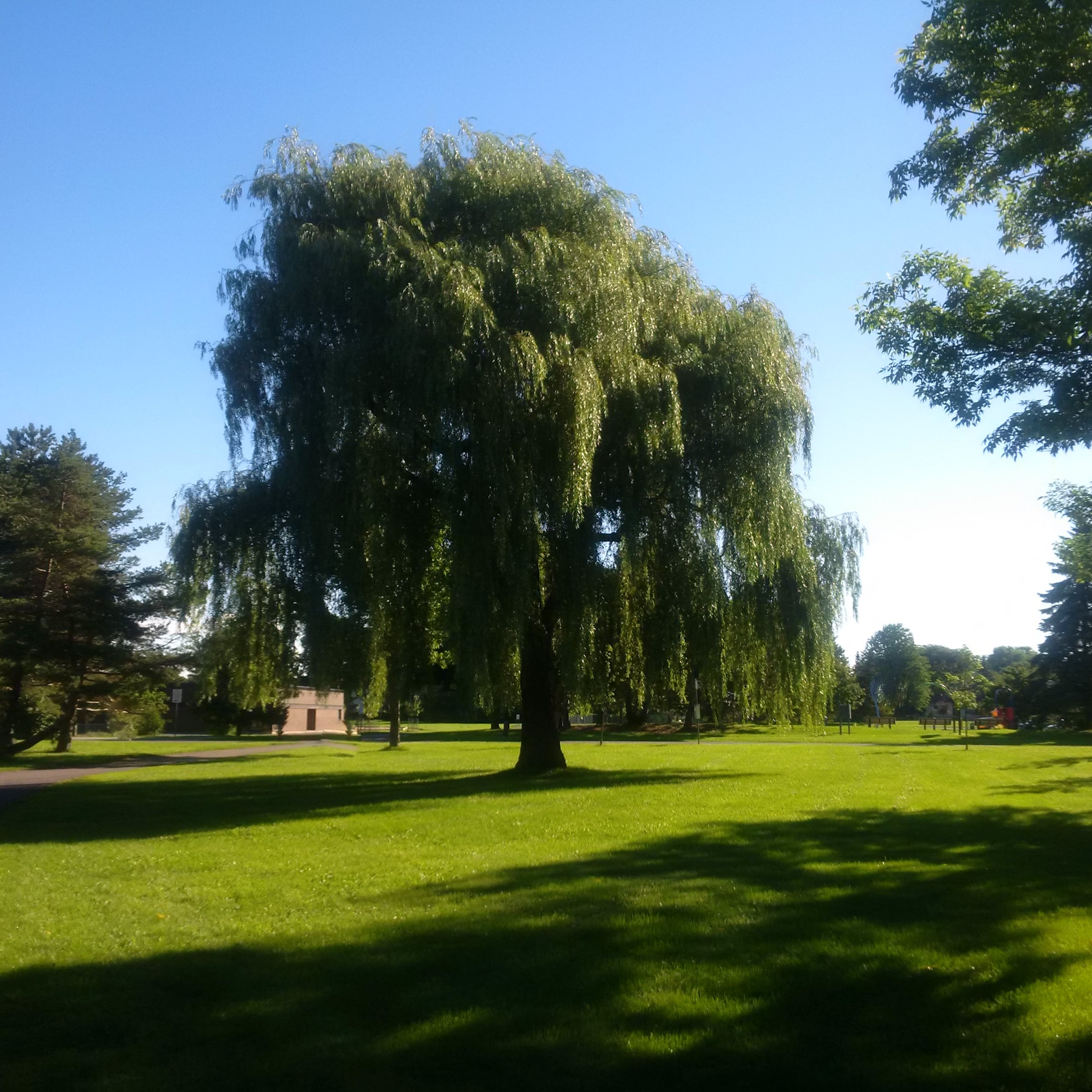 IMG_20160829_090159 (2)