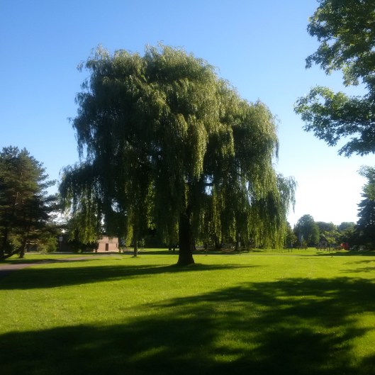 IMG_20160829_090159 (2)