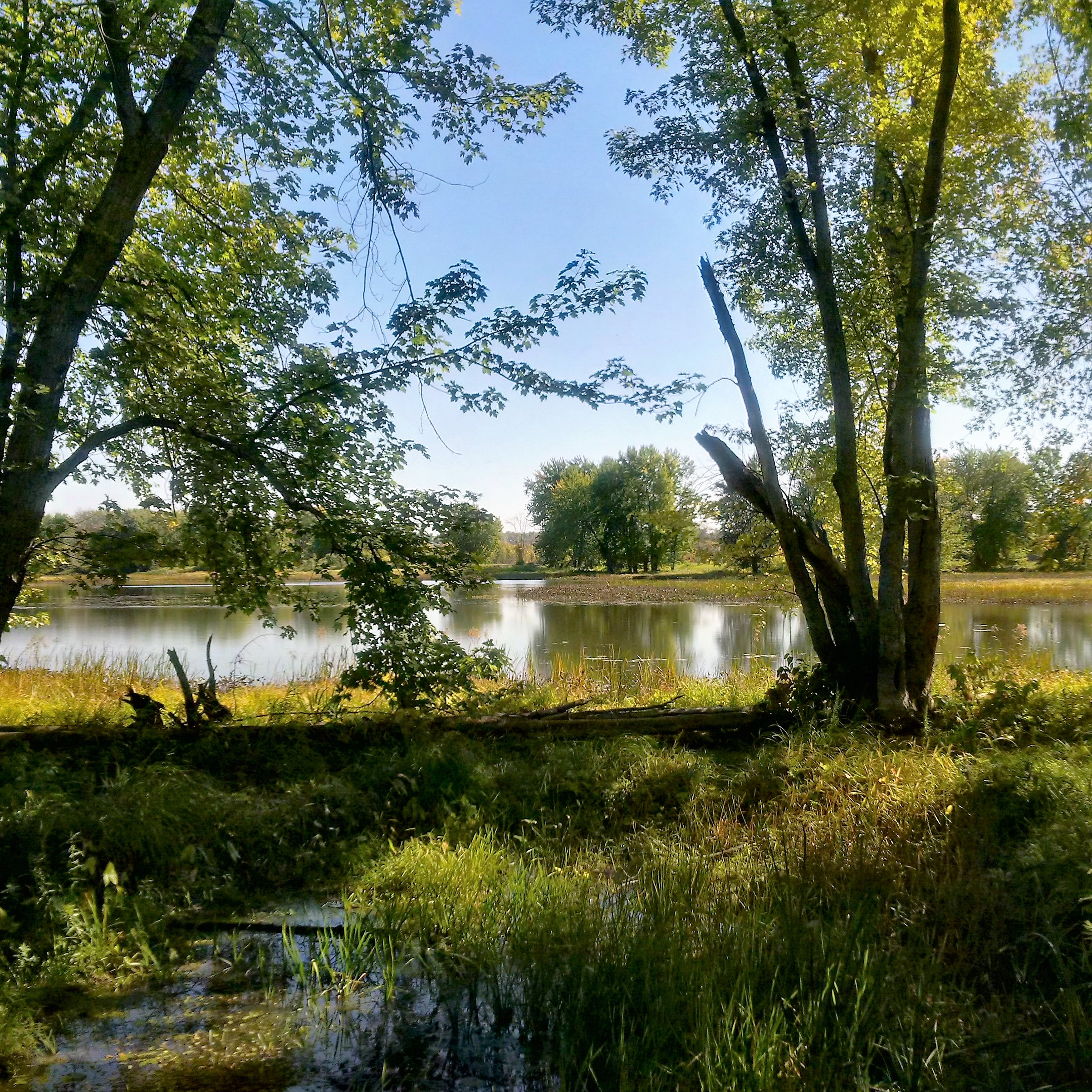 img_20161004_132618_hdr