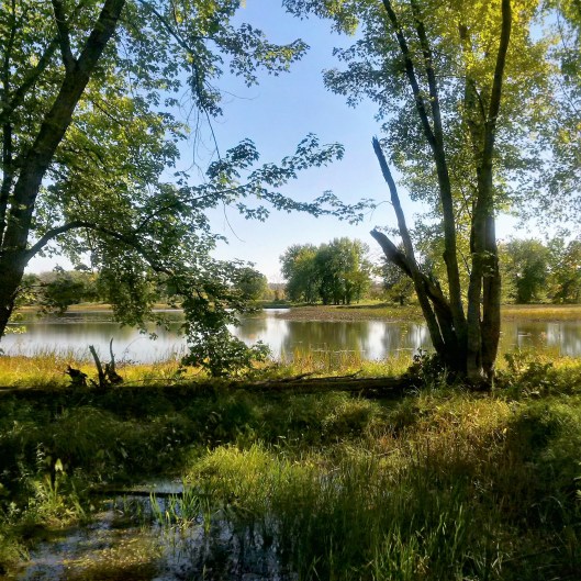 img_20161004_132618_hdr