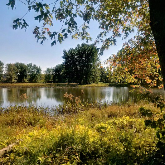 img_20161004_132719_hdr