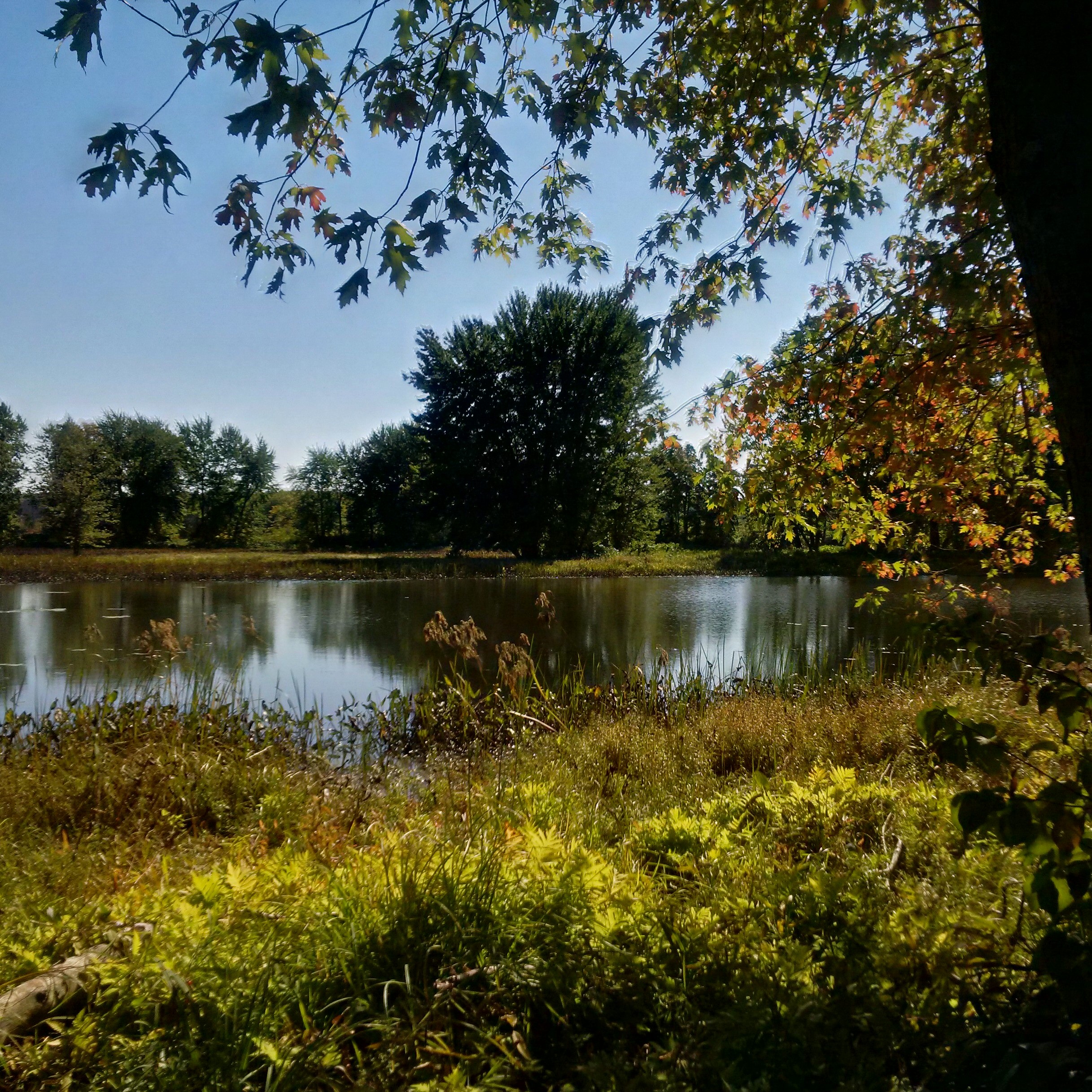 img_20161004_132719_hdr