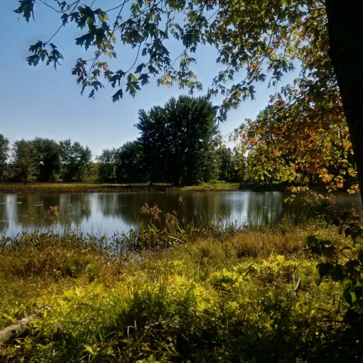 img_20161004_132719_hdr