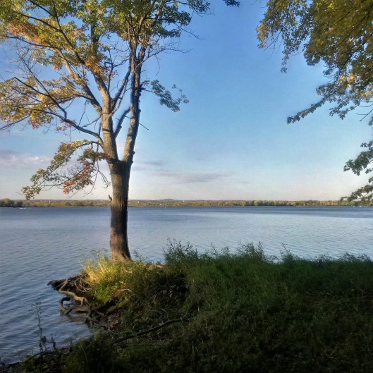 img_20161012_164601_hdr