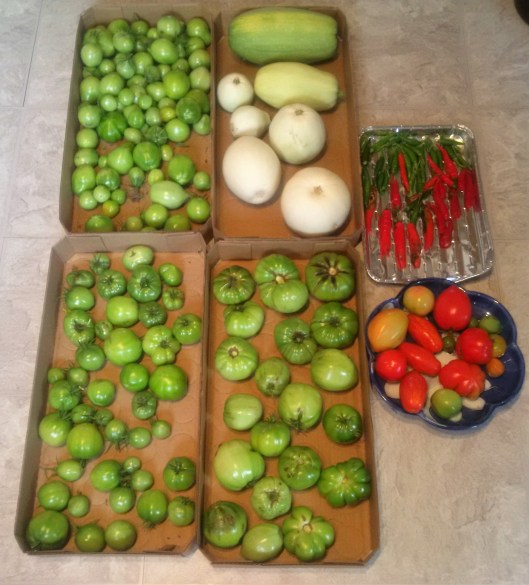 img_20161024_095102-1