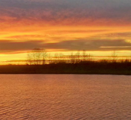 img_20161108_172430_hdr