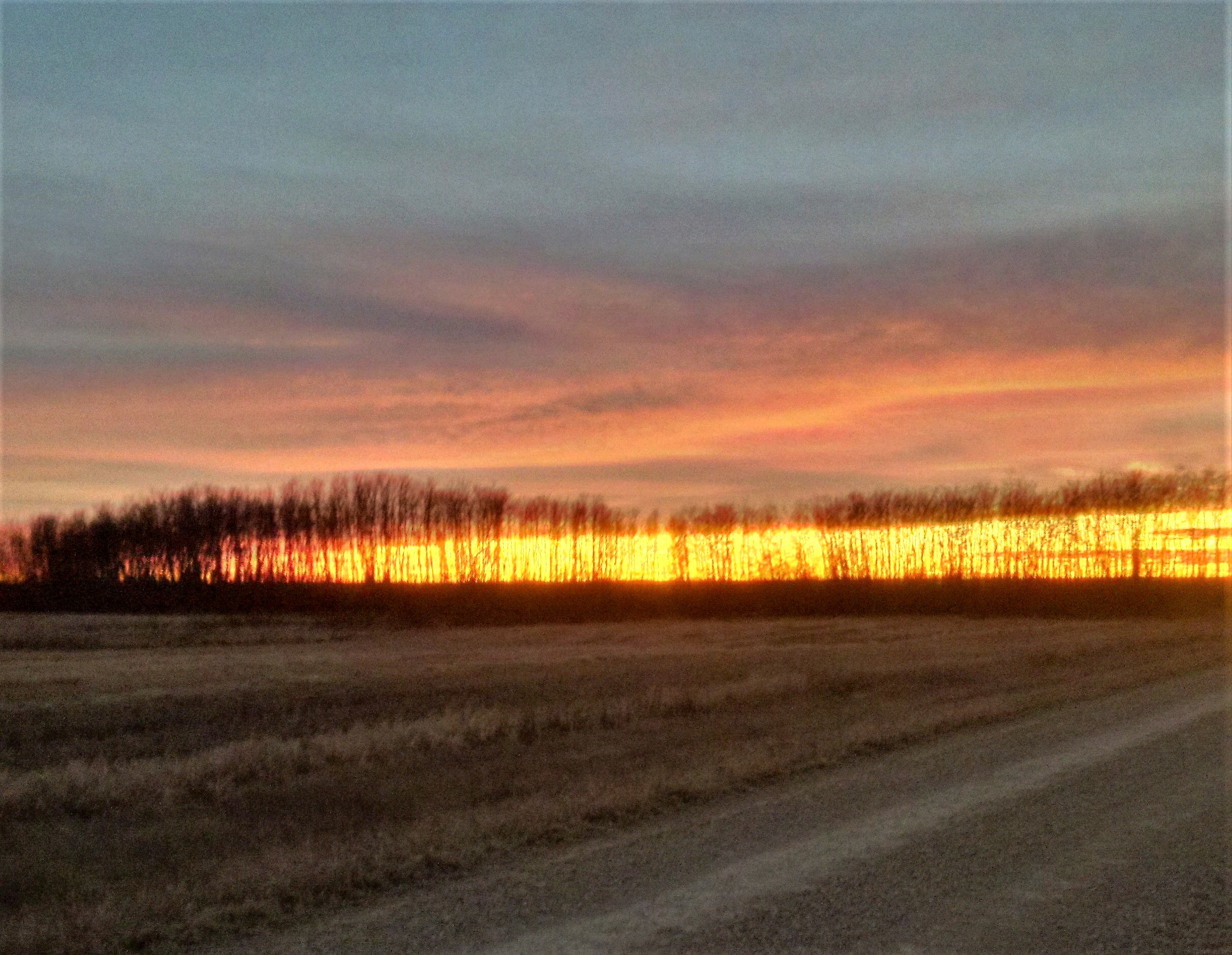 img_20161108_173636_hdr