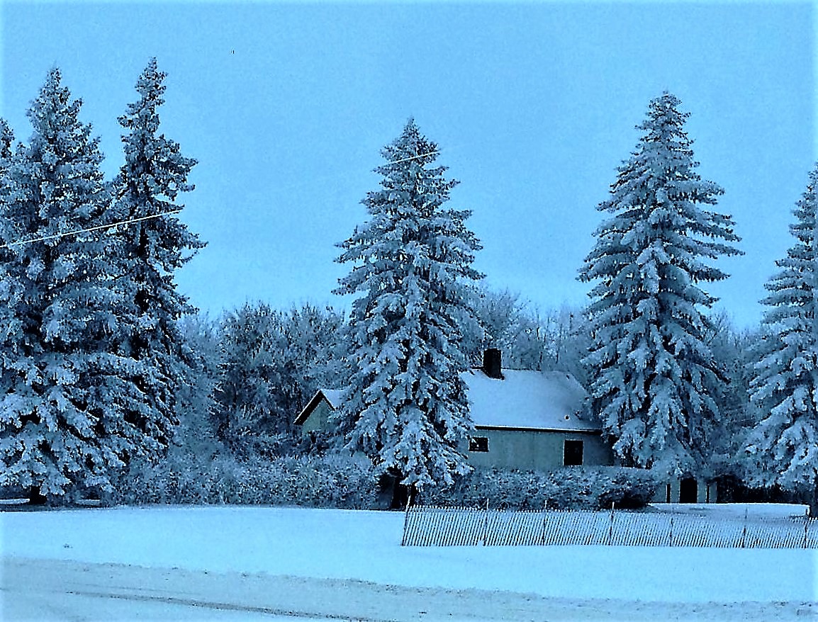 d-adam-winter-farm