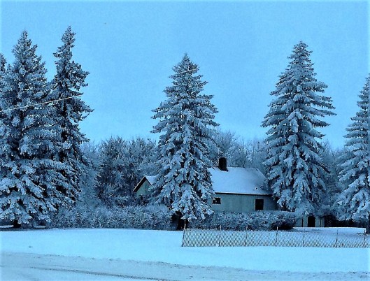 d-adam-winter-farm