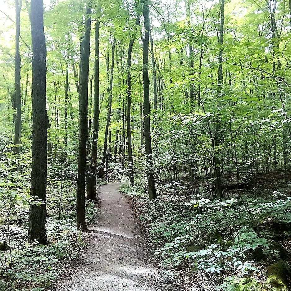 gatineau-park-trail