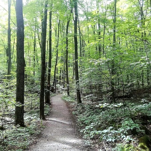 gatineau-park-trail