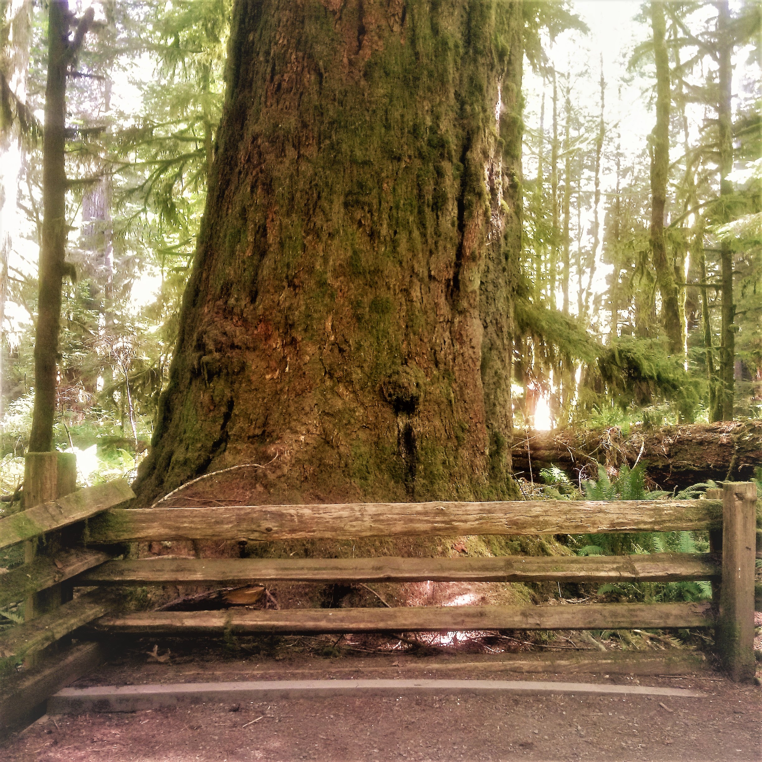 img_20160502_120520-2