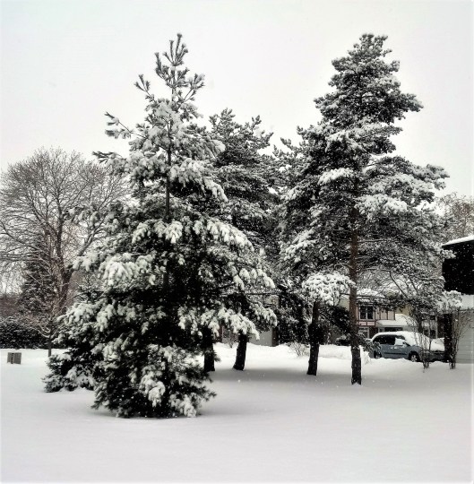 img_20161224_095819-2