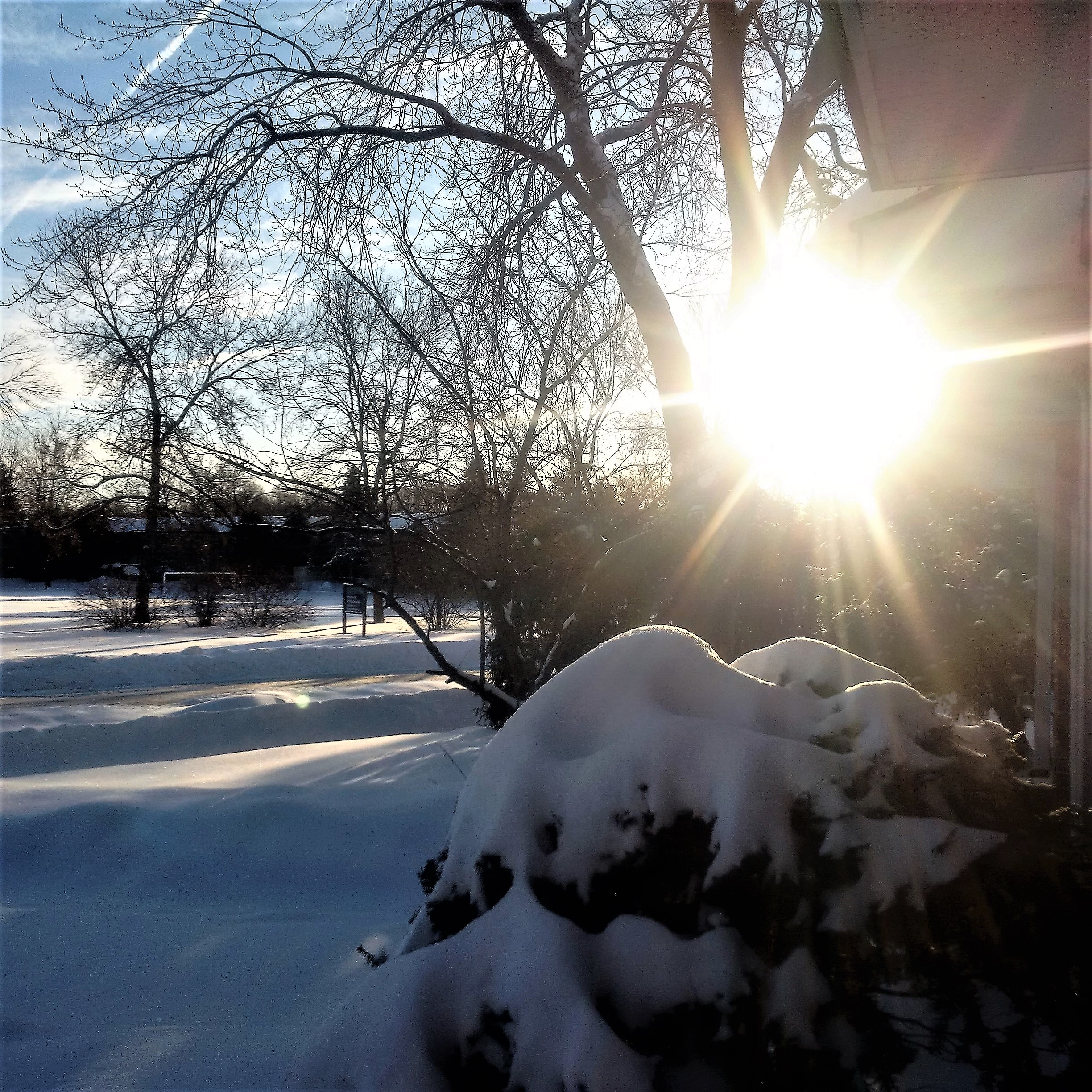 img_20170101_085151-2