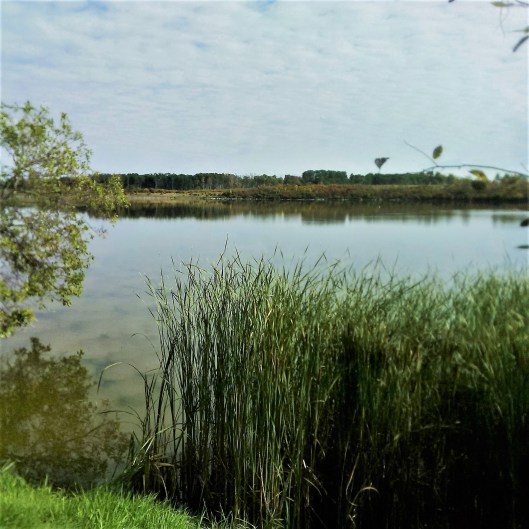 saltcoats-lake-2014-09-16