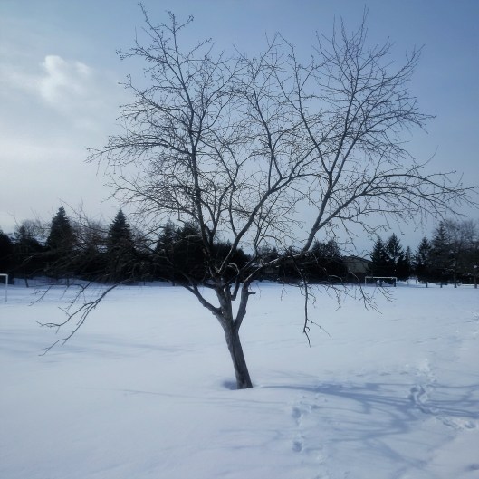 img_20170206_104601-2