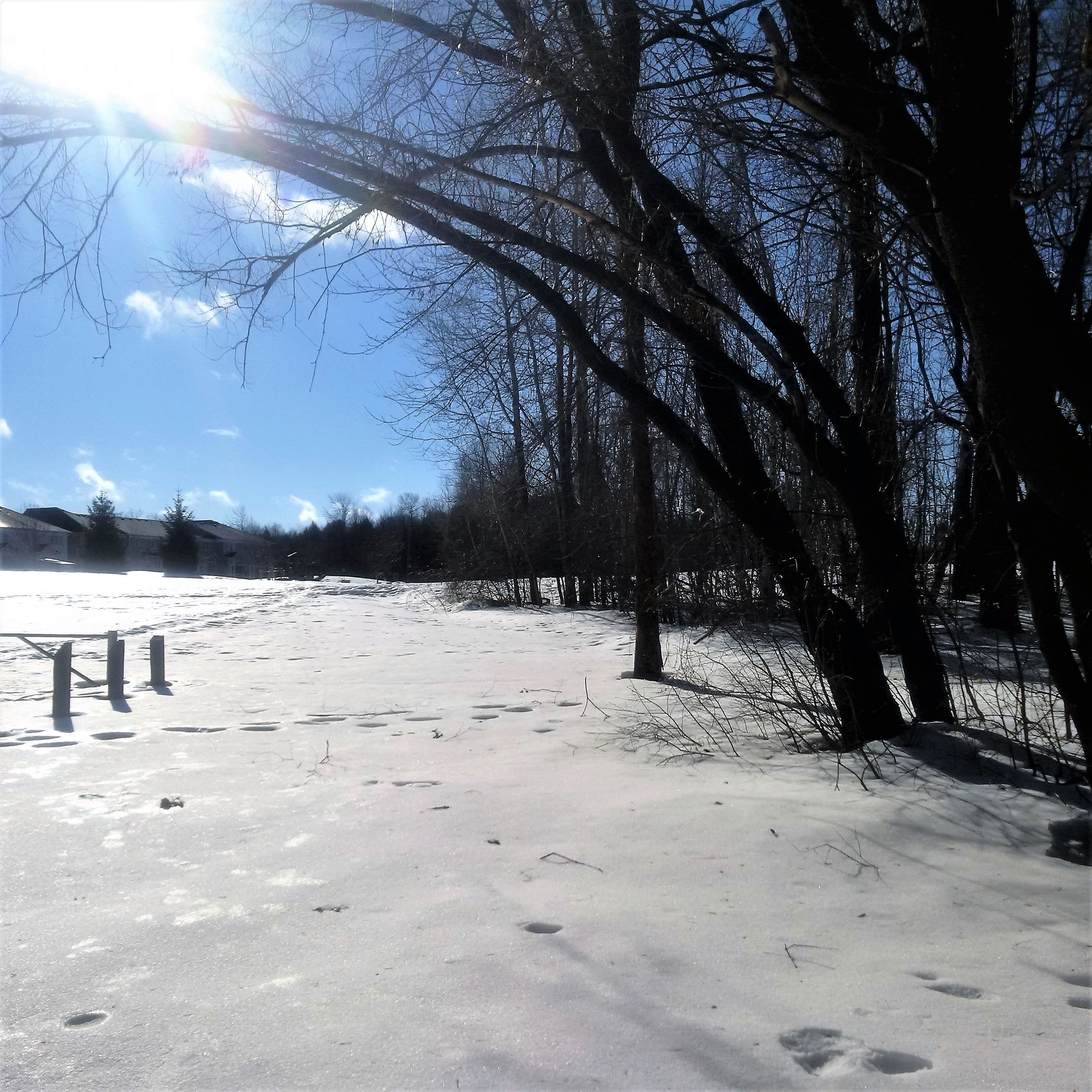 IMG_20170308_090758[90]