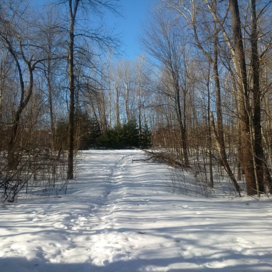 IMG_20170308_090816[91]