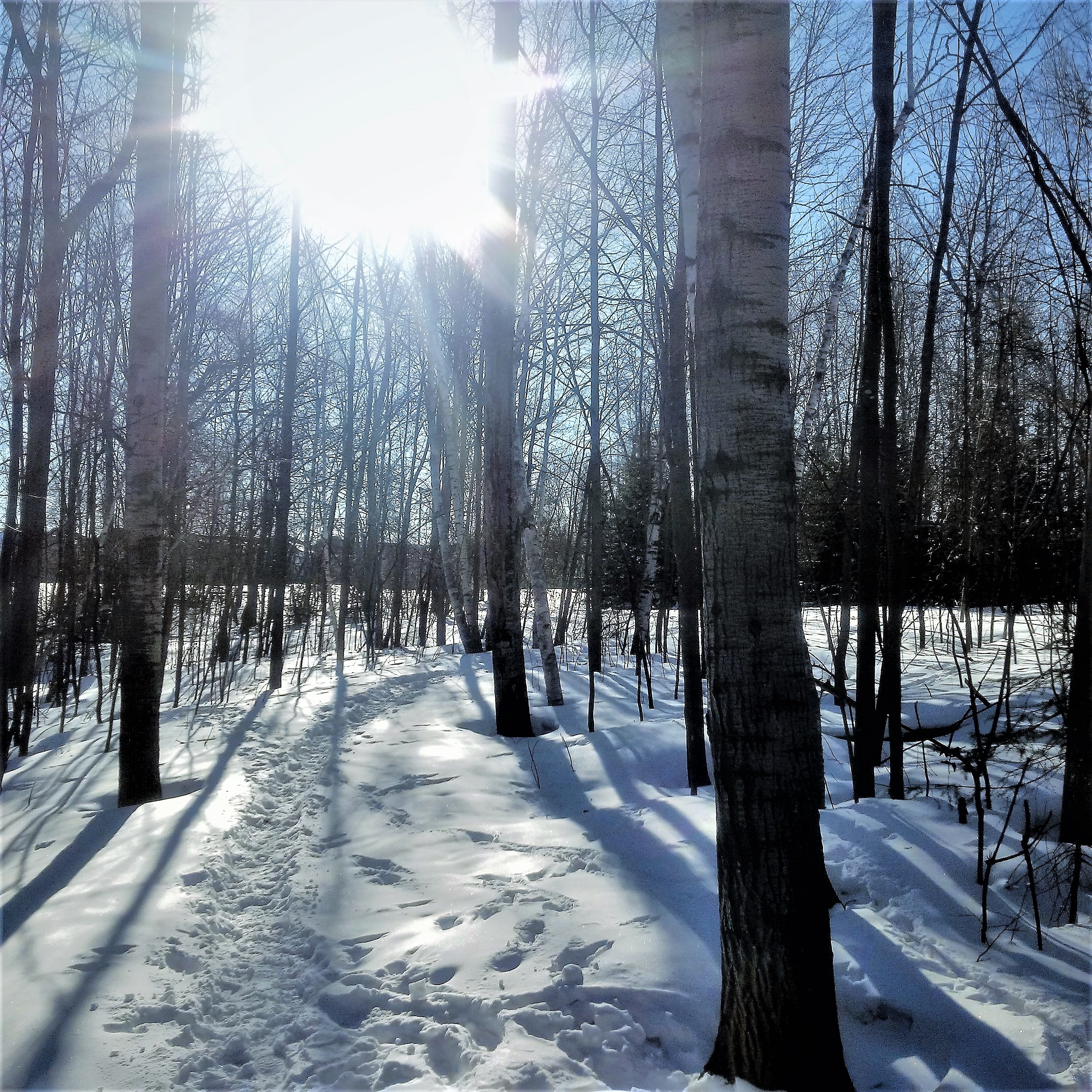 IMG_20170317_092203[101] (2)