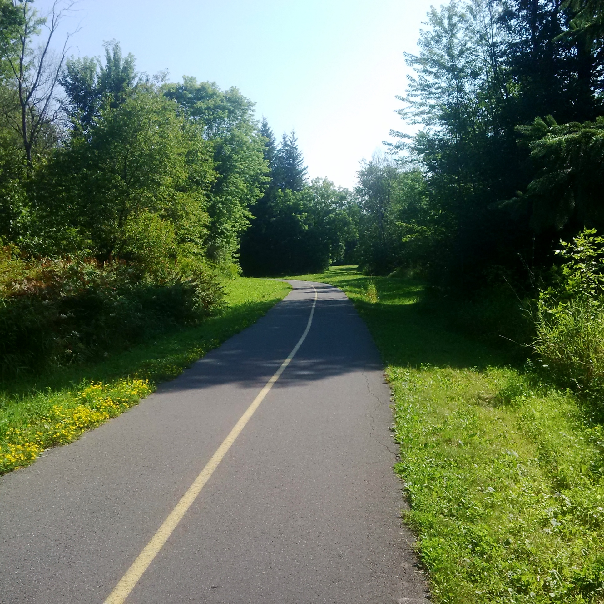 Bike Ride 2015-07-28