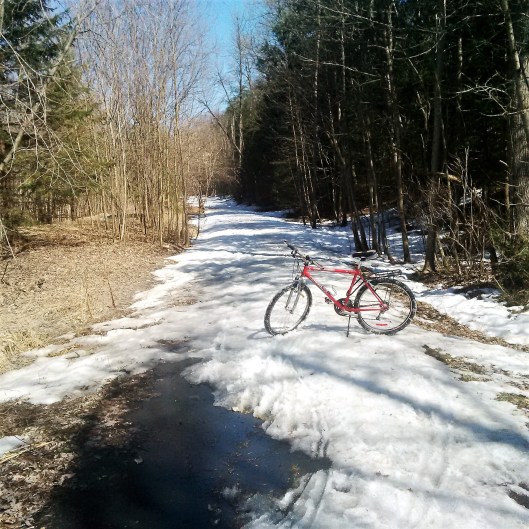 Ice bike trail
