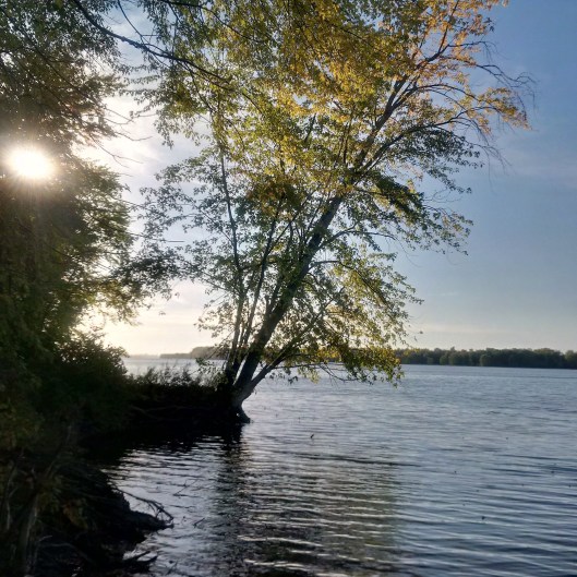 IMG_20161012_164709_hdr