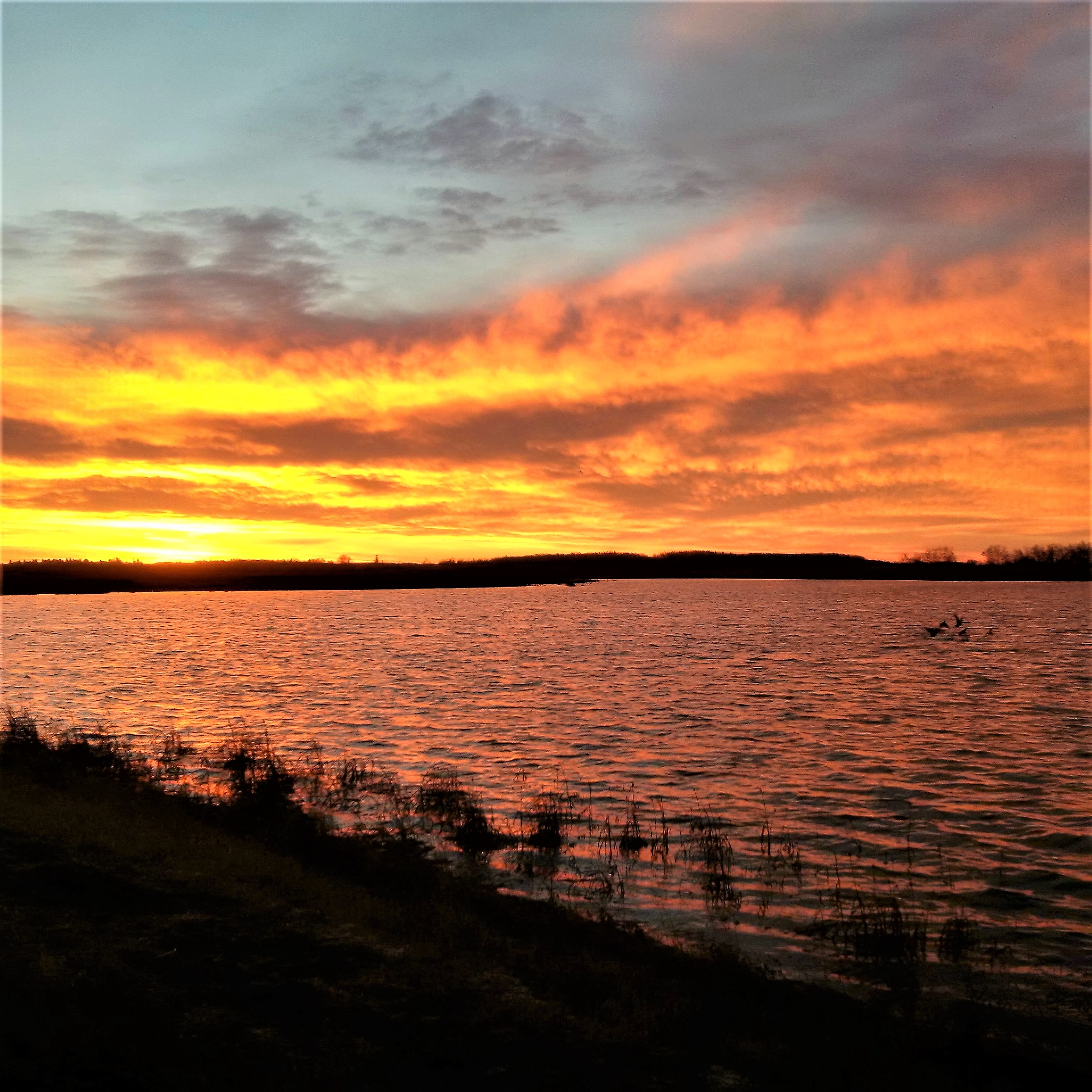 IMG_20161114_074737 (2)