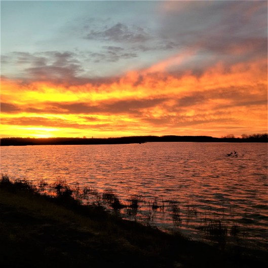 IMG_20161114_074737 (2)