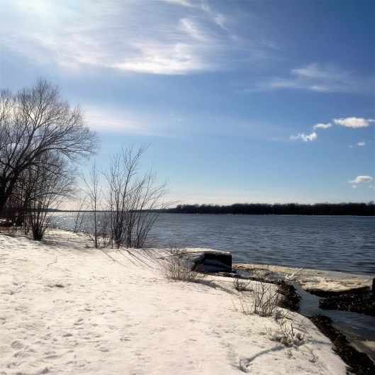 IMG_20170402_160353[176]