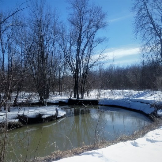 IMG_20170402_160748[178]