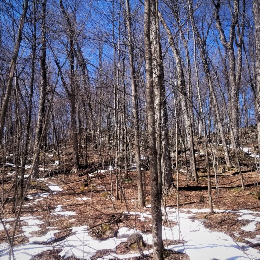 IMG_20170413_112744[206]